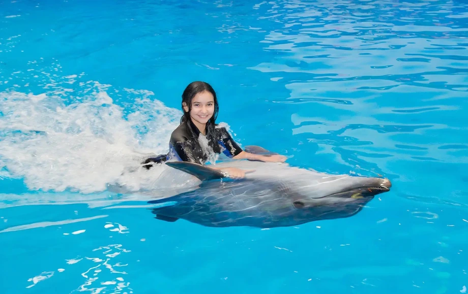 Dolphin Show DubaI - Best tour Packages From Dubai.